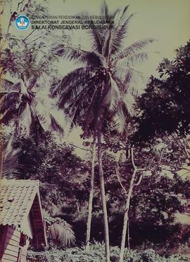 Ikhtisar pohon kelapa segar (pembanding kelapa no. 35)
